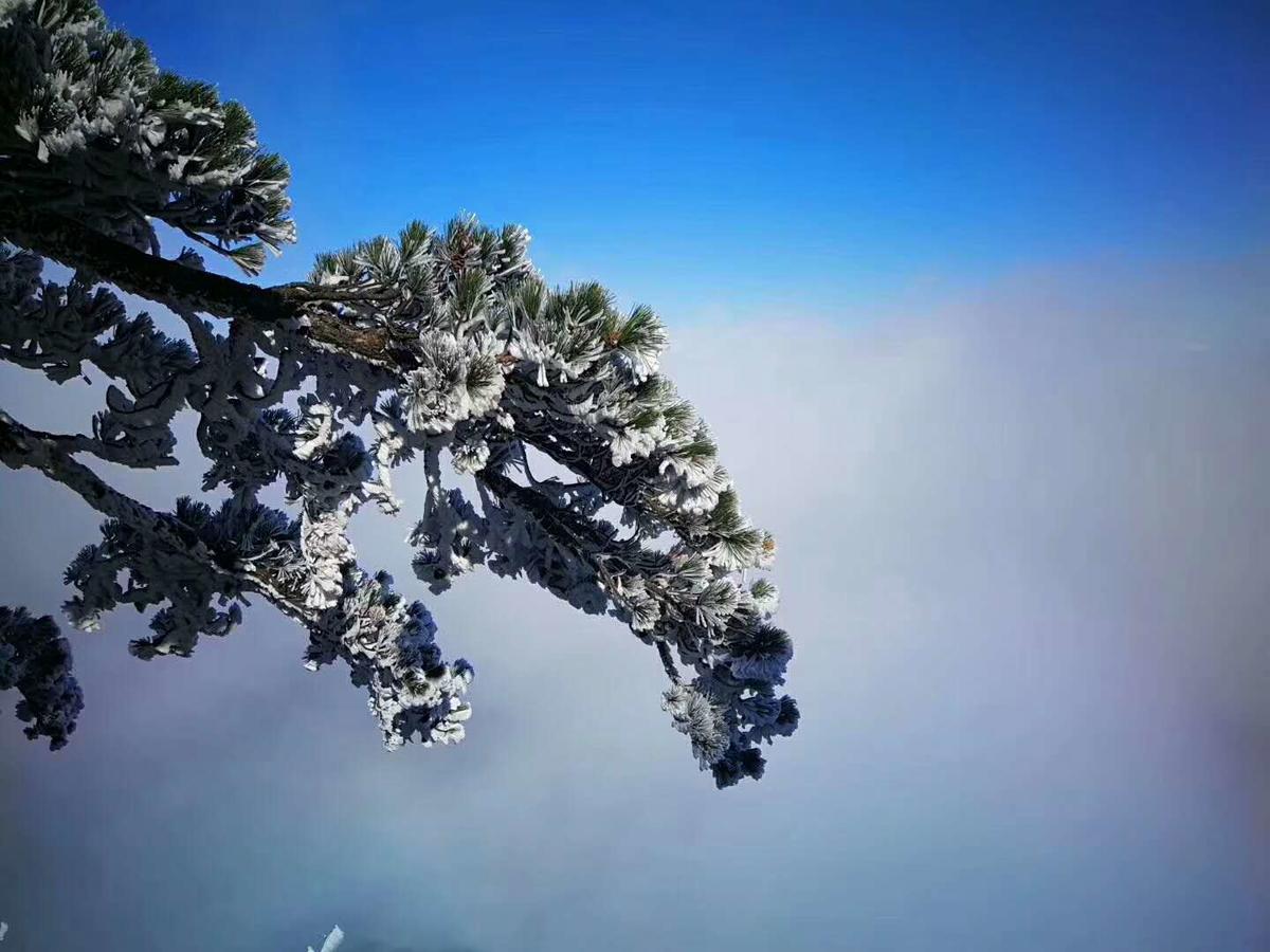Joymoon Hotel Huangshan Eksteriør billede